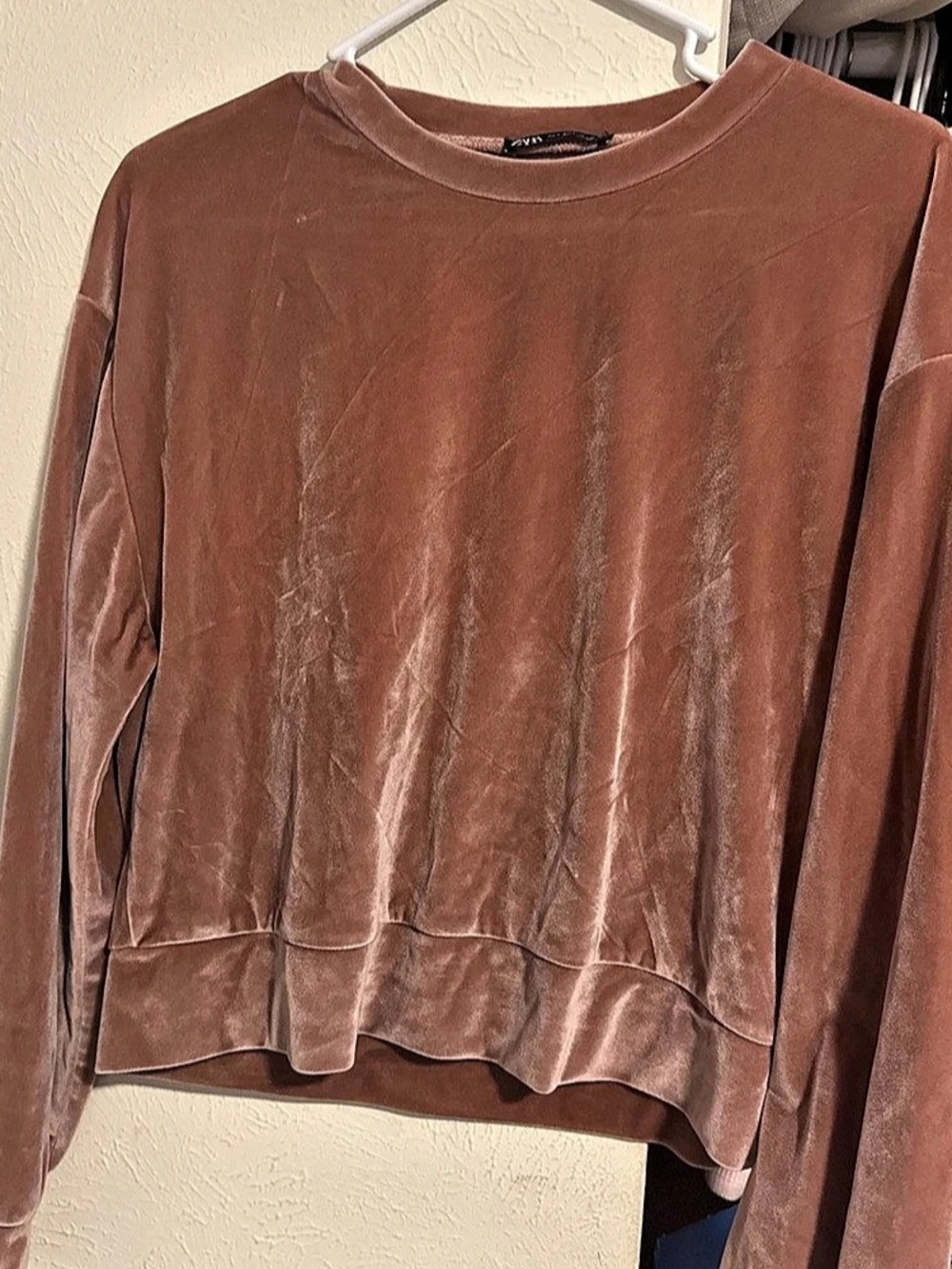 Zara Brown Velour Crewneck Sweatshirt